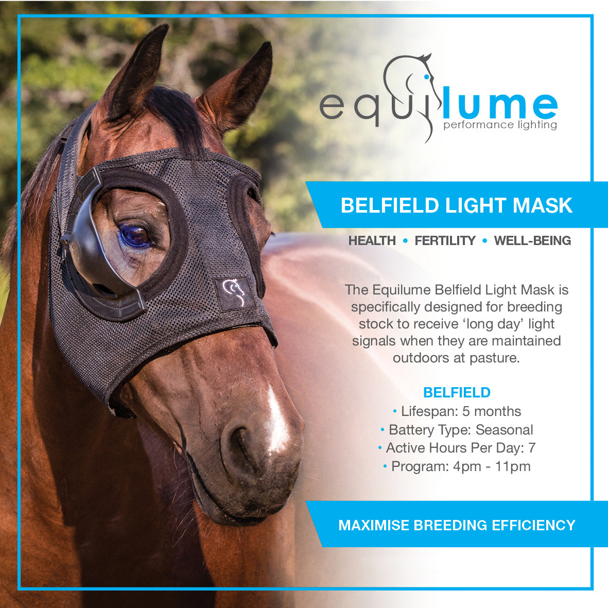 Equilume Belfield Light Mask