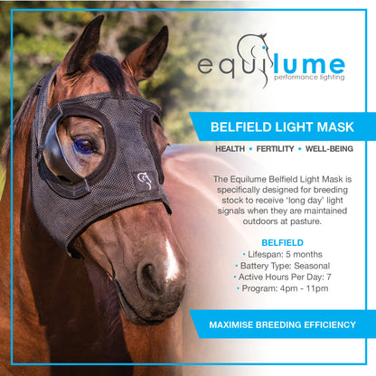 Equilume Belfield Light Mask