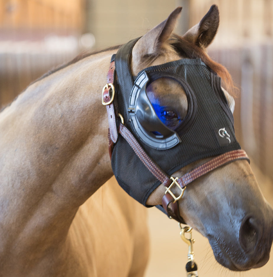 Equilume Belfield Light Mask