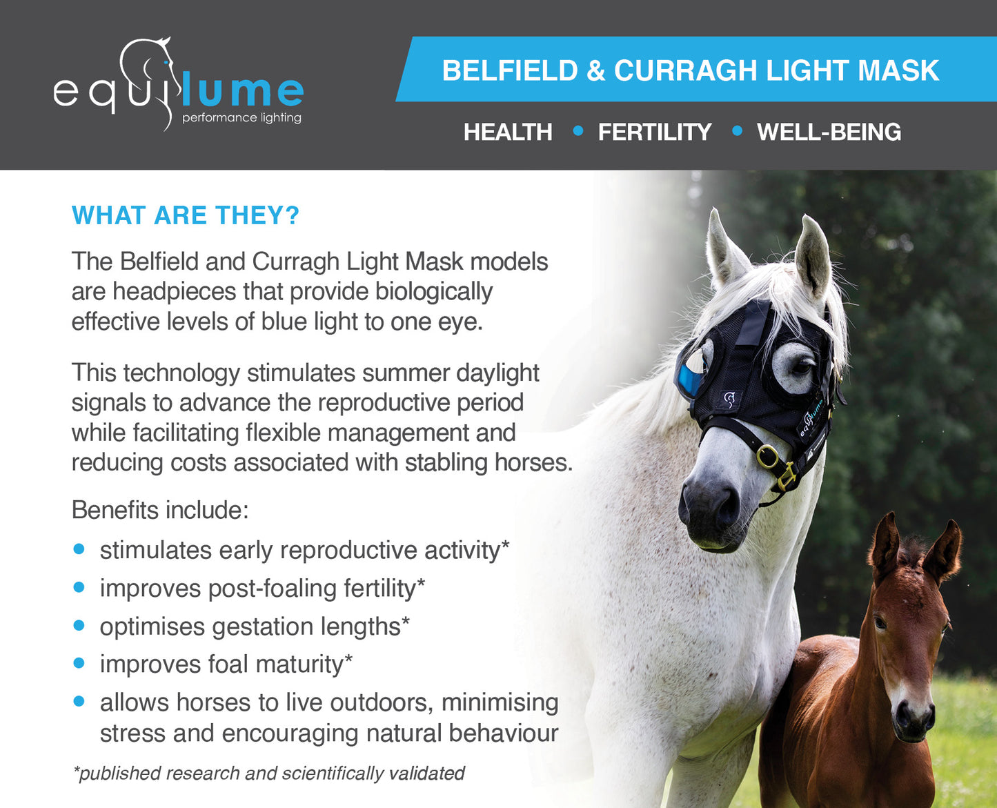 Equilume Belfield Light Mask