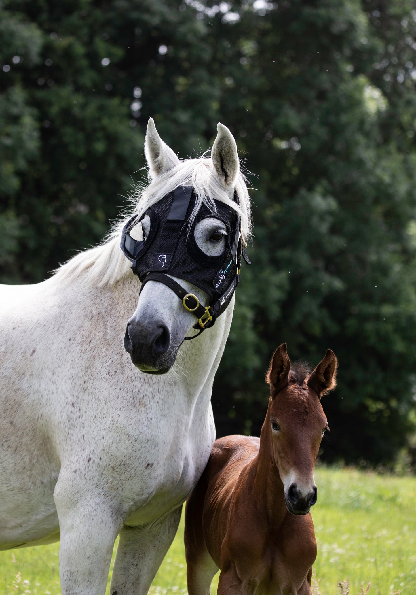 Equilume Cashel Light Mask