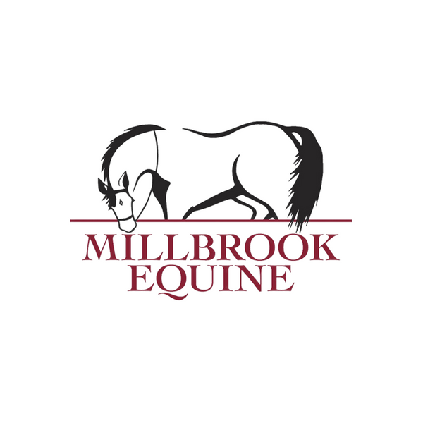 Millbrook Equine