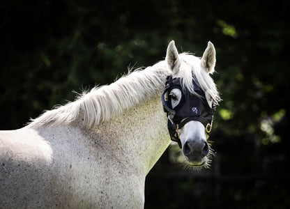 Equilume Curragh Light Mask